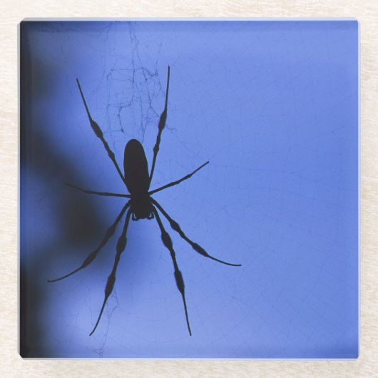 Spider Glazen Onderzetter (Voorkant)