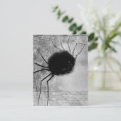 Spider glimlachen door Odilon Redon,  Halloween Kaart (Staand voorkant)