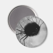 Spider glimlachen door Odilon Redon,  Halloween Magneet (Voorkant / Achterkant)