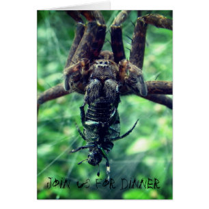 Spider Halloween-binnenuitnodiging