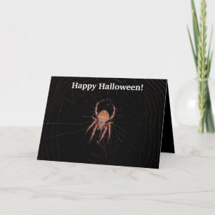 Spider Halloween Card Kaart