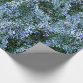 Spider Haven... Cadeaupapier (Hoek)