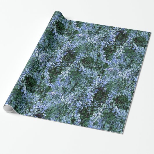 Spider Haven... Cadeaupapier (Uitgerold)