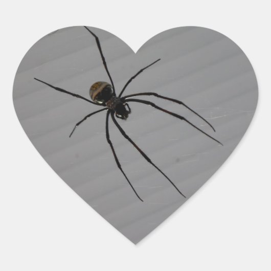 Spider Heart Sticker (Voorkant)