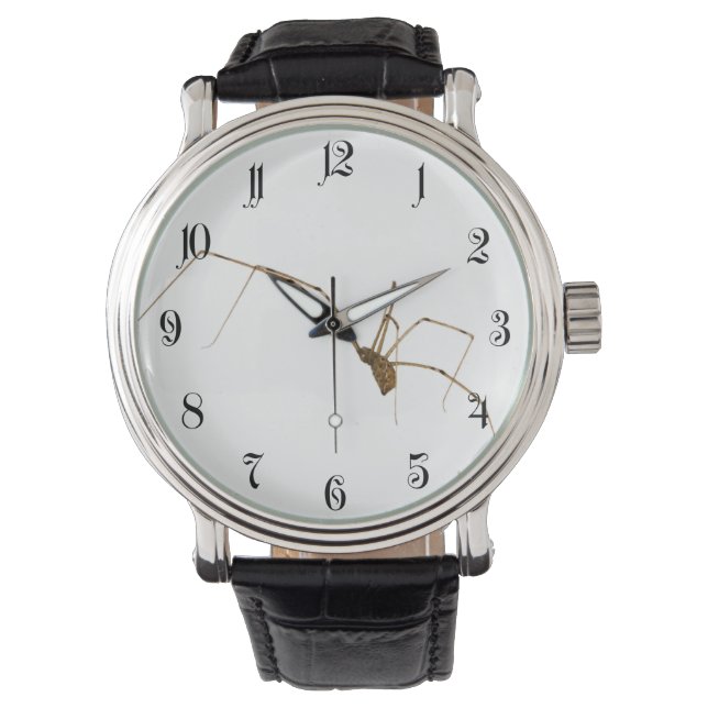 Spider Horloge (Voorkant)