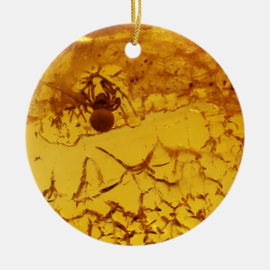 Spider in amber keramisch ornament (Voorkant)