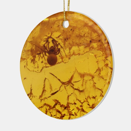 Spider in amber keramisch ornament (Links)