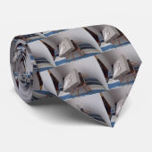 Spider in cadeaudoos stropdas (Opgerold)