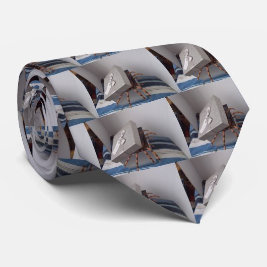 Spider in cadeaudoos stropdas (Opgerold)