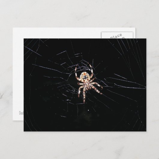 SPIDER IN DE DARK BRIEFKAART (Voorkant / Achterkant)