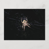 SPIDER IN DE DARK BRIEFKAART (Voorkant)