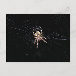 SPIDER IN DE DARK BRIEFKAART