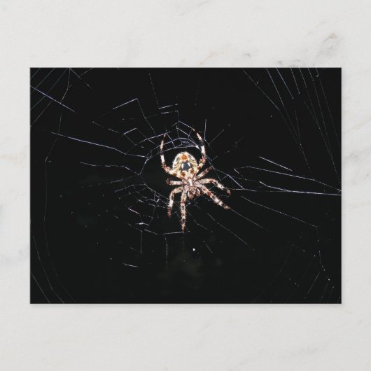 SPIDER IN DE DARK BRIEFKAART (Voorkant)