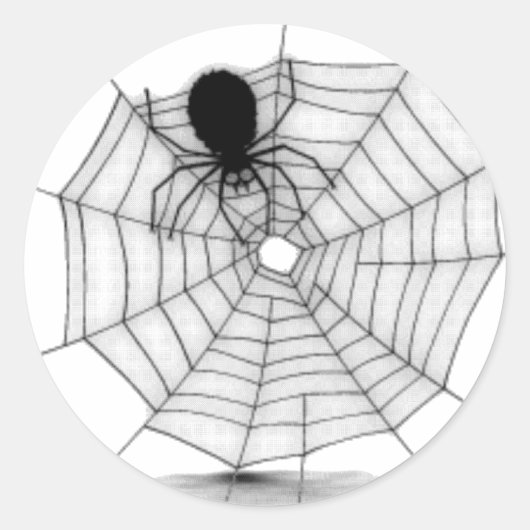 Spider in zijn web ronde sticker (Voorkant)