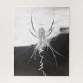 Spider Jigzaag Puzzle Legpuzzel (Verticaal)