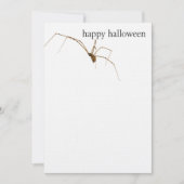 Spider Kaart (Voorkant)