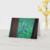 Spider, kaart (Gele Bloem)