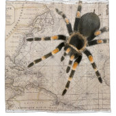 Spider-kaart Douchegordijn (Voorkant)
