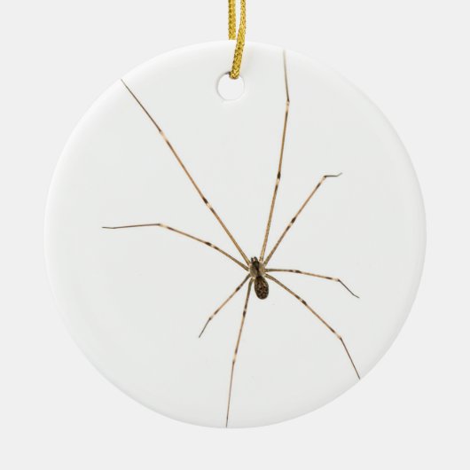 Spider Keramisch Ornament (Voorkant)
