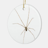 Spider Keramisch Ornament (Links)