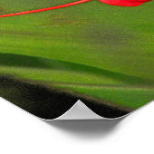 Spider Lily 2 Poster (Hoek)