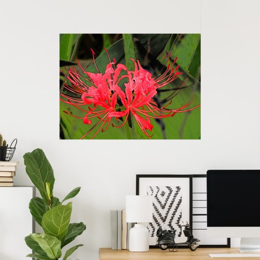 Spider Lily 2 Poster (Thuiskantoor)