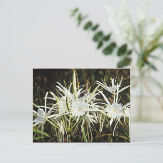 Spider Lily Briefkaart (Staand voorkant)