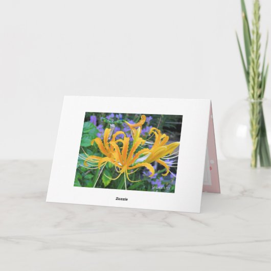 Spider Lily Kaart (Achterkant)