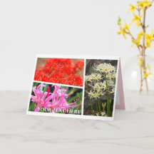 Spider Lily