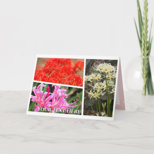 Spider Lily Kaart (Voorkant)