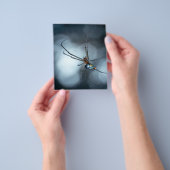Spider Lovers | Schoonheidsspin met websites Flyer (Hand)