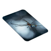 Spider Lovers | Schoonheidsspin met websites Magneet (Rechterzijde)