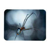 Spider Lovers | Schoonheidsspin met websites Magneet (Horizontaal)