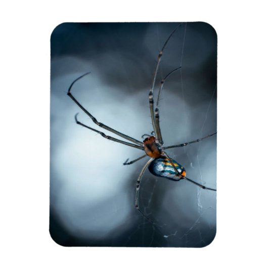 Spider Lovers | Schoonheidsspin met websites Magneet (Verticaal)