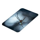 Spider Lovers | Schoonheidsspin met websites Magneet (Linkerzijde)