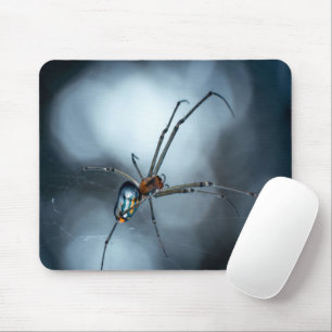 Spider Lovers   Schoonheidsspin met websites Muismat