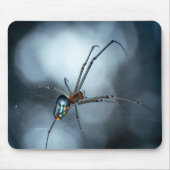 Spider Lovers | Schoonheidsspin met websites Muismat (Voorkant)