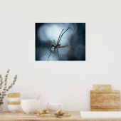 Spider Lovers | Schoonheidsspin met websites Poster (Keuken)