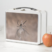 Spider Lunch Box (In situ)