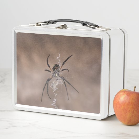 Spider Lunch Box (In situ)