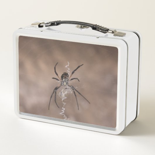 Spider Lunch Box (Achterkant)