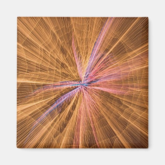 Spider Magneet (Voorkant)