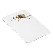 Spider Magneet (Rechterzijde)