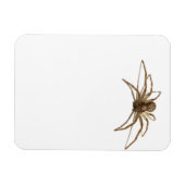 Spider Magneet (Horizontaal)