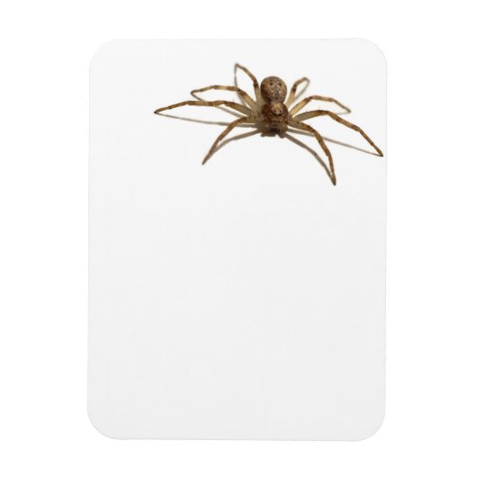 Spider Magneet (Verticaal)
