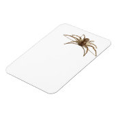 Spider Magneet (Linkerzijde)