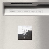 Spider Magnet (Insitu (Vaatwasser))