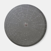 Spider Magnet (Voorkant)