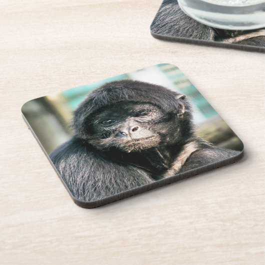 SPIDER MONKEY BIER ONDERZETTER (Linkerzijde)