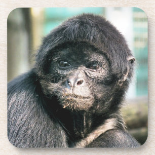 SPIDER MONKEY BIER ONDERZETTER